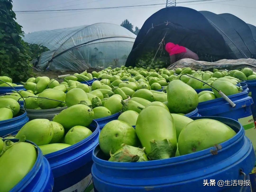 美好生活十年,美好生活最新版