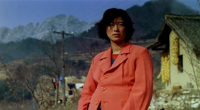 1993年，*安泰**黑社会密谋成立中华民族救国会，敢与警察枪战对决