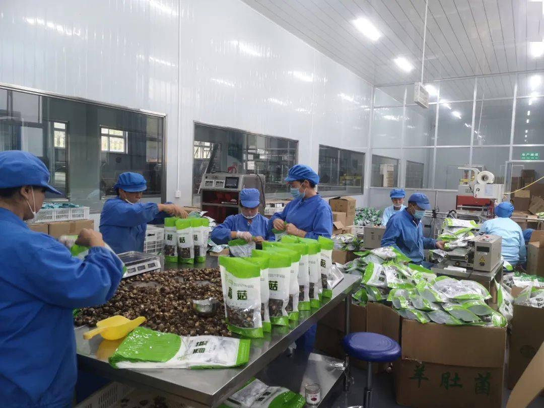 中药材价格普涨,为什么中药材价格持续大涨