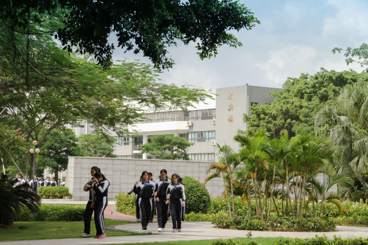 深圳光明中学2023年招收多少人,深圳市光明区高级中学特招分数线