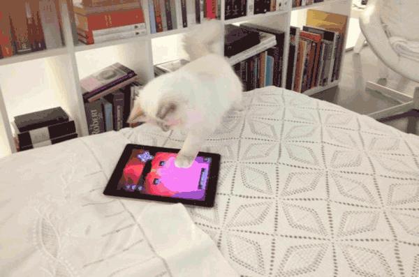 metgala绾㈡2022,metgala绾㈡2021