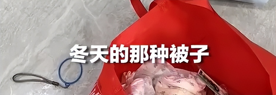 12岁男孩独居把猫狗喂胖,男孩独居66天将自己与猫狗养胖