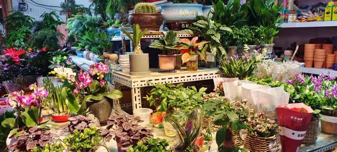 秦皇岛海滨城市生活,体验一下秦皇岛的风土人情