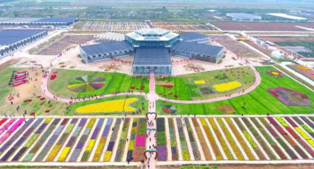 珠海斗门金湾遛娃好去处免费,金湾遛娃好去处