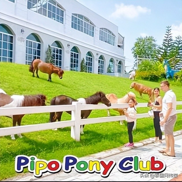 泰国芭提雅22个游玩地点推荐,泰国曼谷普吉芭提雅游玩攻略