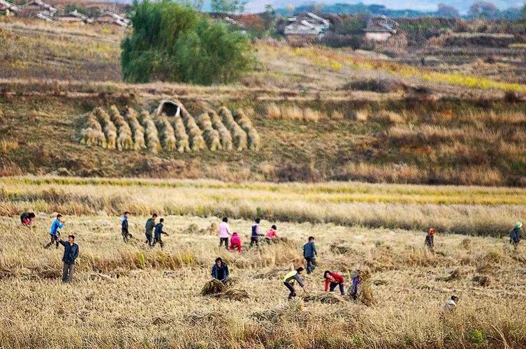 朝鲜是一个怎样的省份,越南和朝鲜是一个国家吗