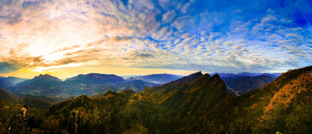 剑阁杯古树名木摄影大赛,保亭摄影比赛获奖作品