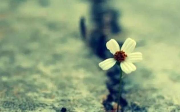 命里的钱都是有数的,命里没钱的因果