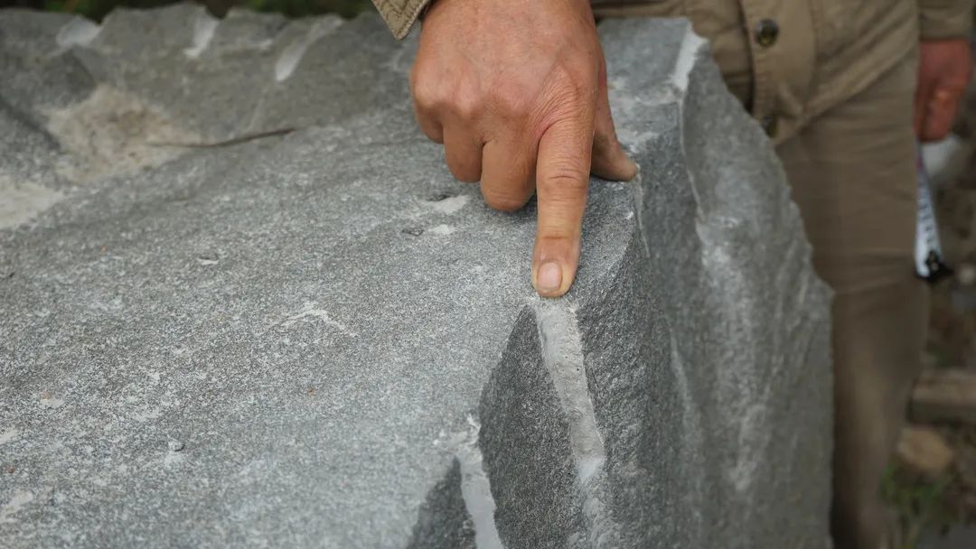 鍙彲鐖辩埍鐨勫崥缇庣嫍,鍙彲鐖辩埍鐙楃嫍鍚嶅瓧