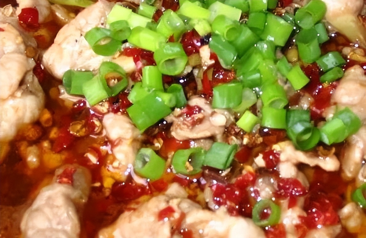 下饭菜推荐菜谱简单,美食菜谱经典下饭菜全推荐