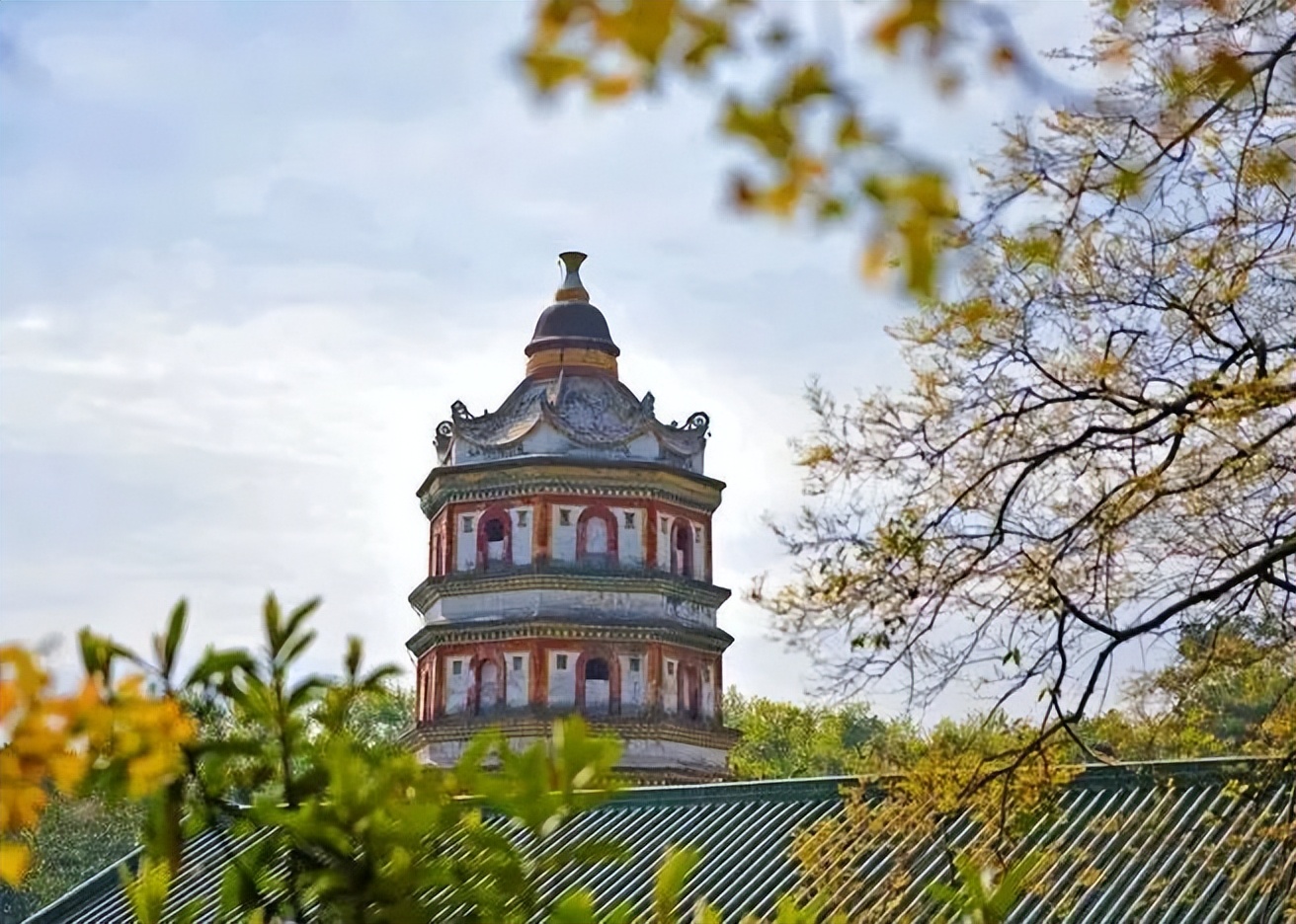 letsgo一周目图文攻略,letsgo图鉴攻略