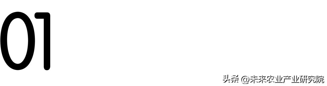 从淳化荞面饸饹,看特色小吃如何大有可为?