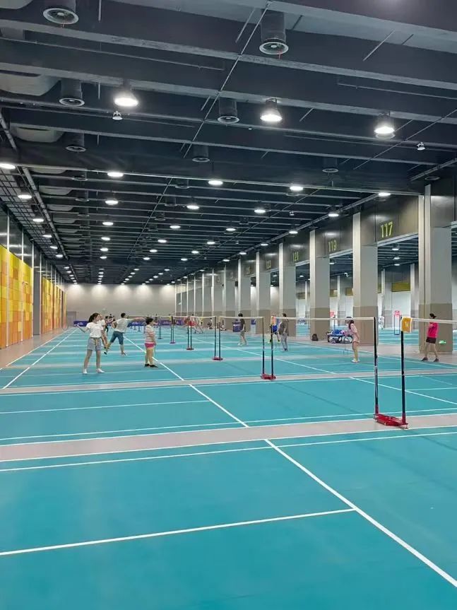 篮球羽毛球乒乓球综合馆,收藏性价比