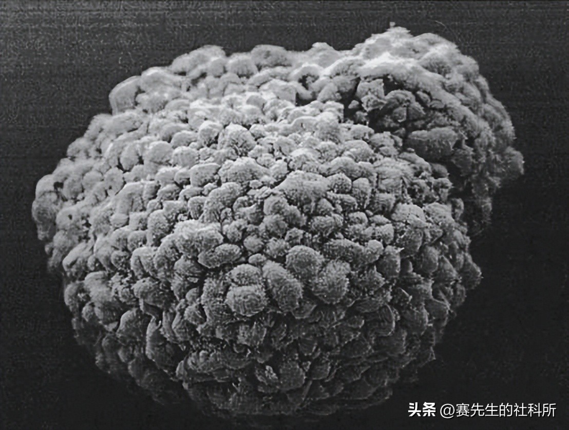 中国沥青与日本沥青,改良沥青与普通沥青的差别