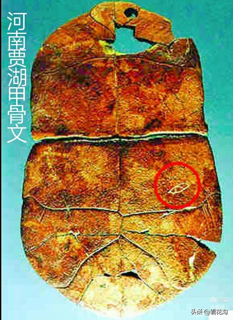 195.河南省舞阳县的概况