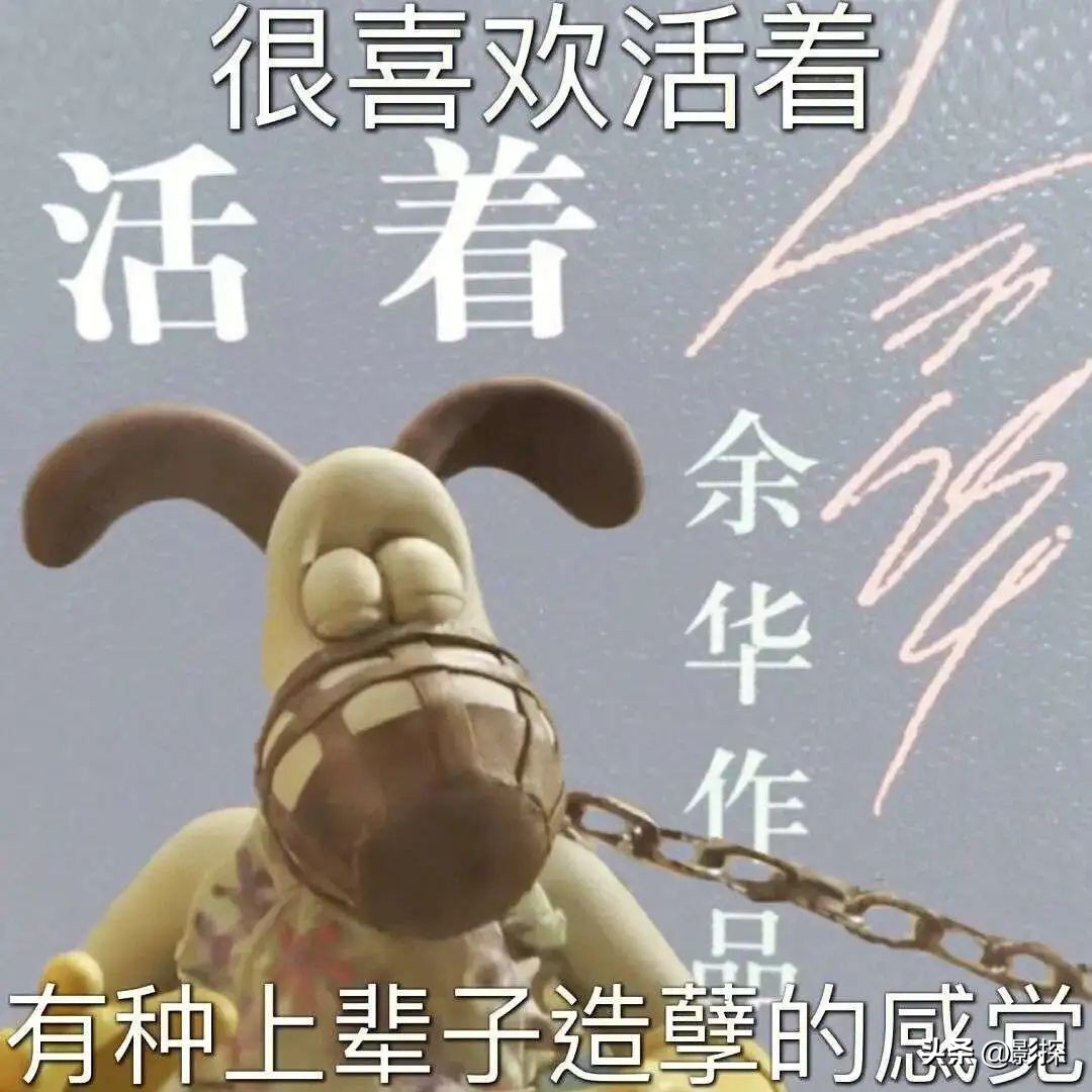 岛国深夜秀之王，内娱想抄？没门