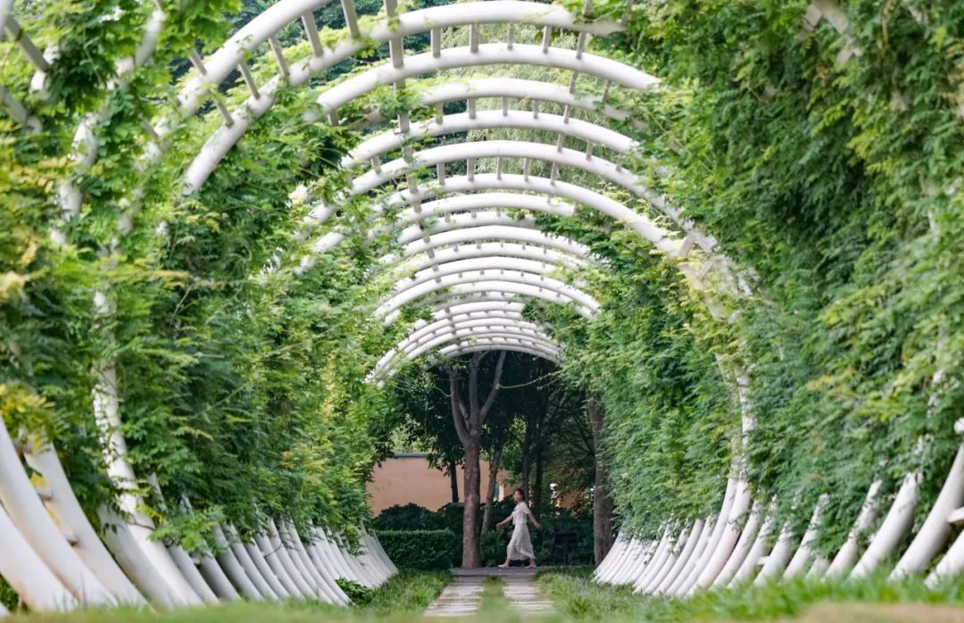 元宵节晚上郑州游玩攻略,郑州元宵节赏灯攻略