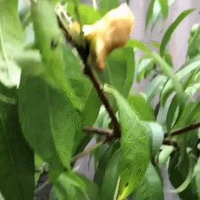 一年涨1000万粉丝的网红,19年瞬间涨粉1000万的网红