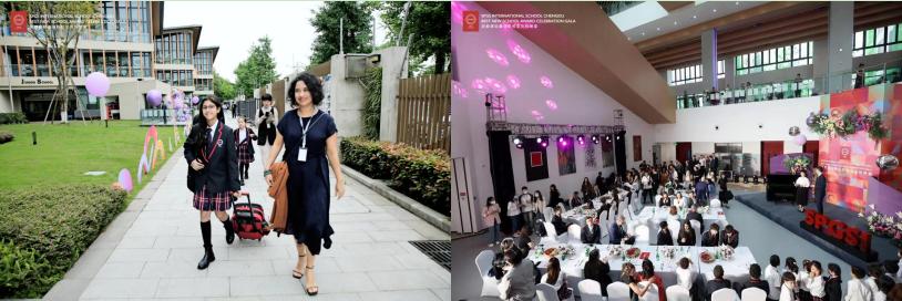 向985院校奋斗,常春藤大学和牛津剑桥