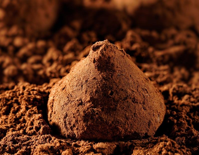 松露巧克力为什么叫生物巧克力,什么是松露