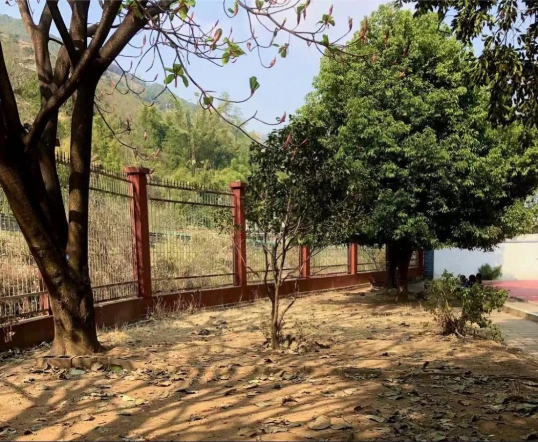 绿美太邑蔬香校园