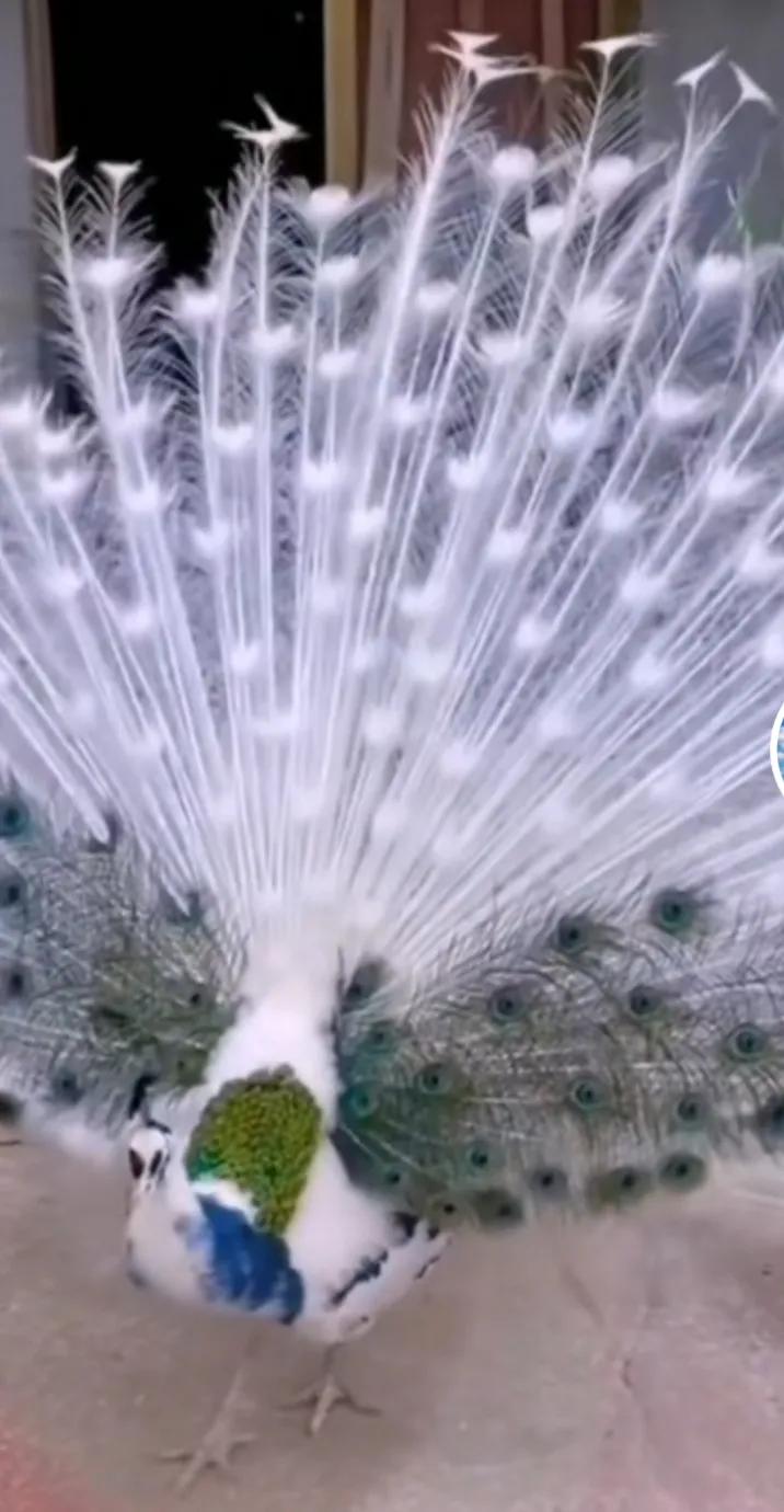 绿汀文学社,2021年绿汀文学社第5期