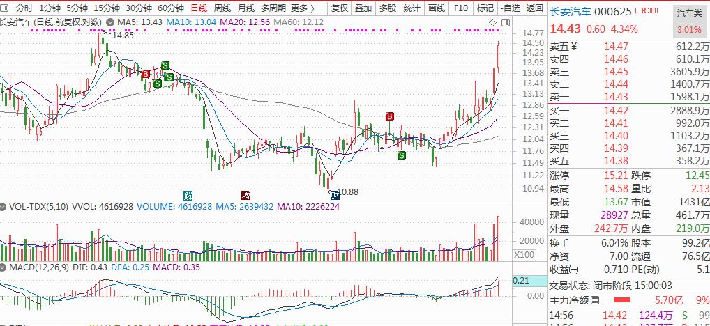 板块人气龙头股,板块强势龙头股排行榜