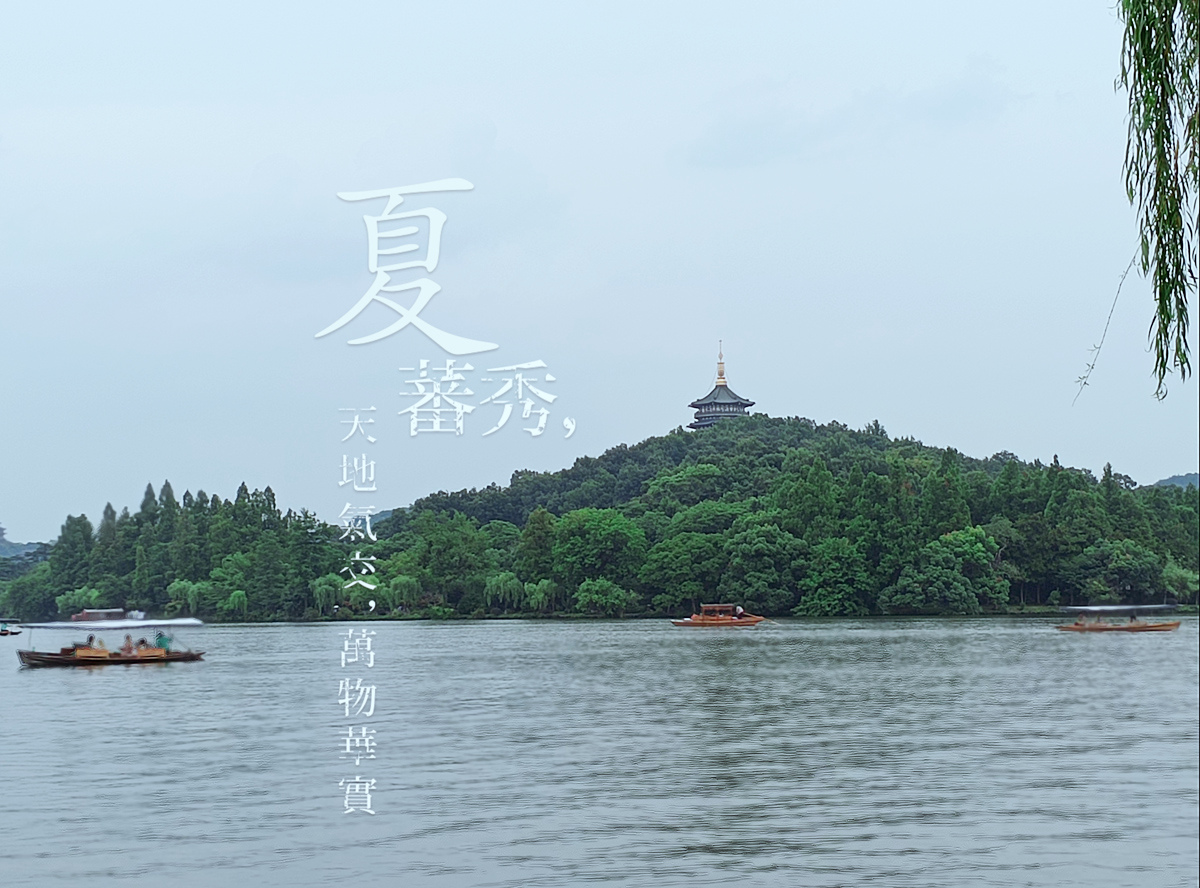 荣耀x40i屏幕参数,荣耀x40i深度测评