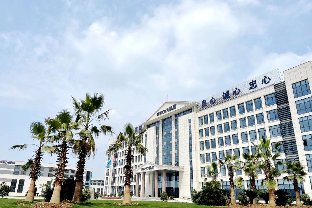 欧康医药深度分析,欧康医药上市