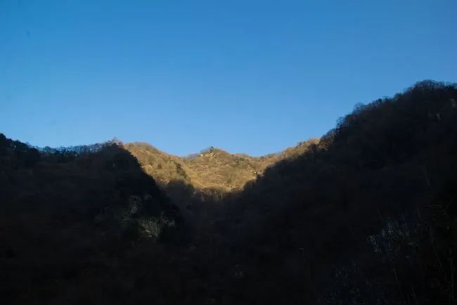 冬天寻访秦岭大峪，不但还有古道遗迹可循，还能见到这条野生广告