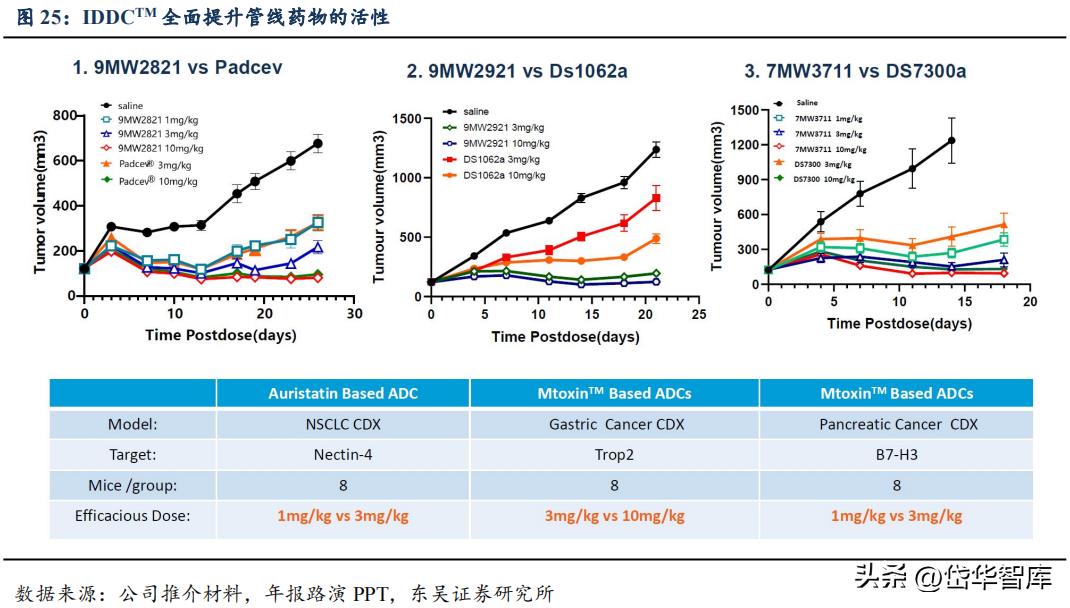 有效避开内卷，迈威生物：ADC锋芒初显，快速成长的Biopharma