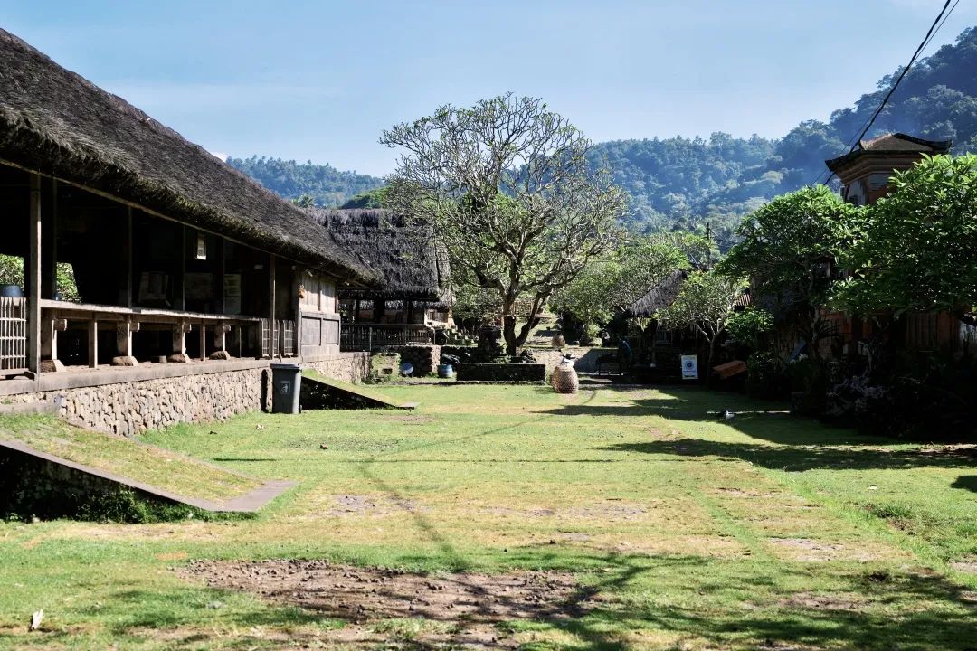 这可能是全球性价比最高的一家阿丽拉