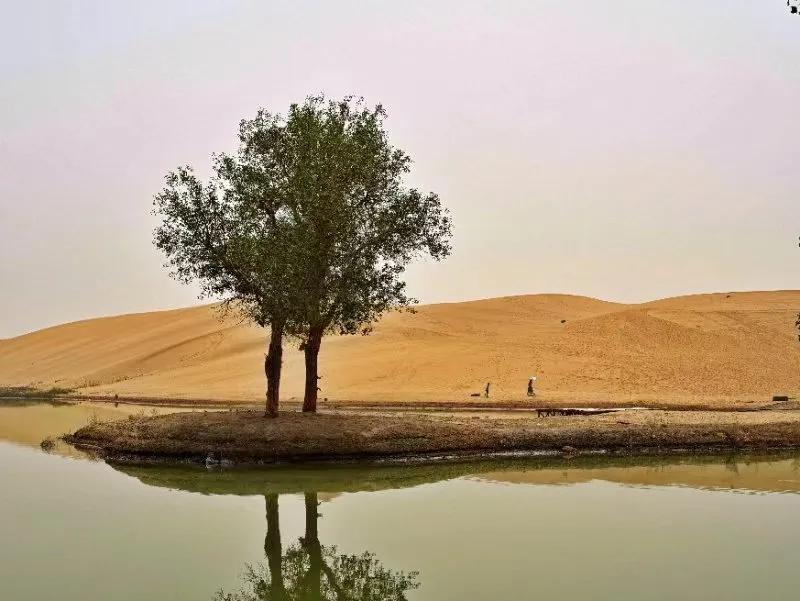 现在货币基金收益好的有哪几个,货币基金收益为什么会越来越低