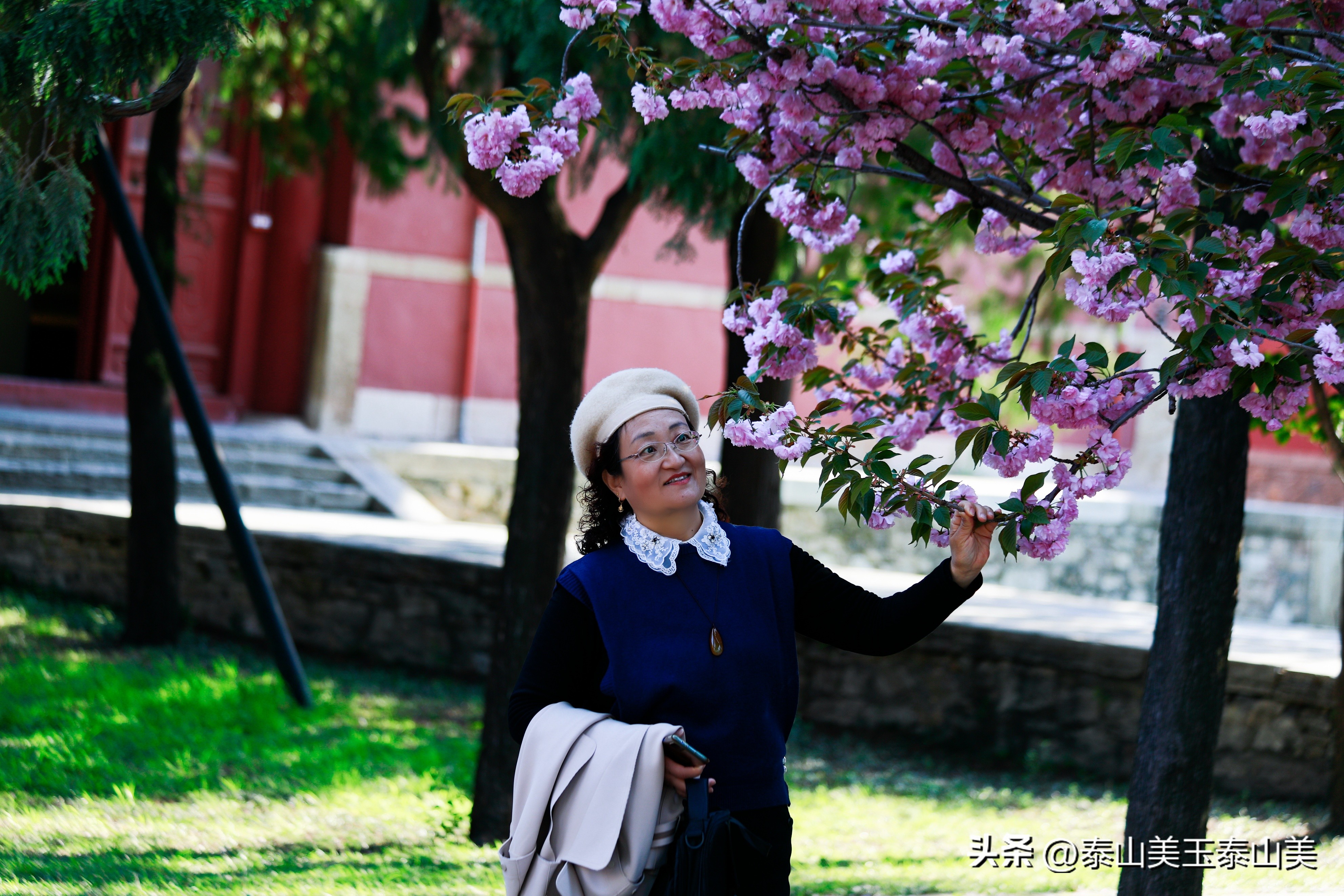 山亭寺沟樱花,定山溪樱花