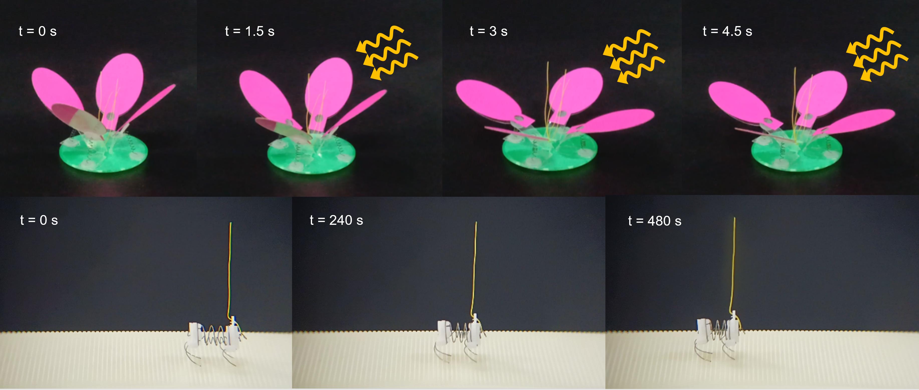 首创！直接用微波驱动的机器人问世