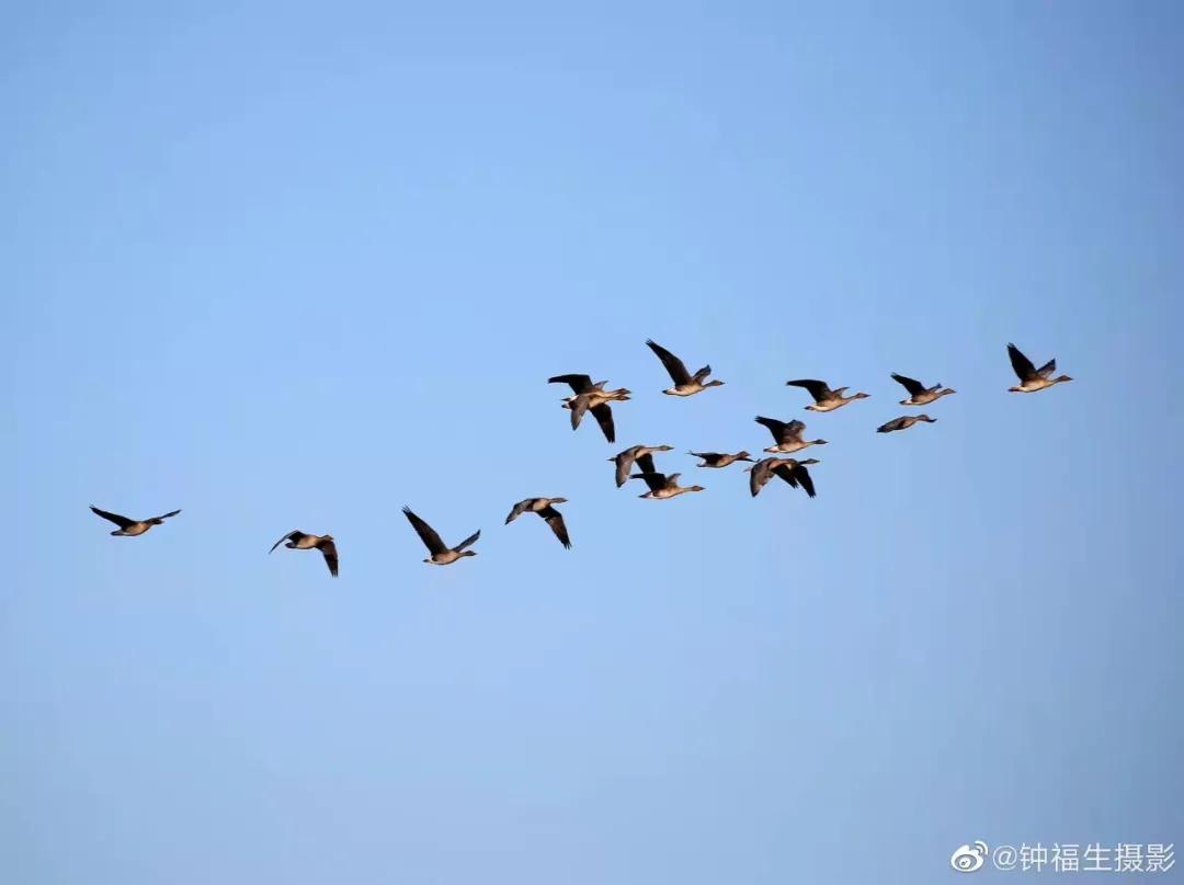 济南的春天来了吗,济南春天来了