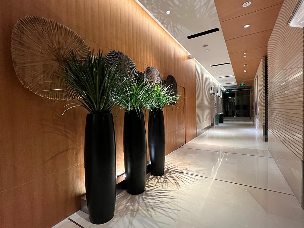 厦门泛太平洋酒店欢乐时光,入住厦门