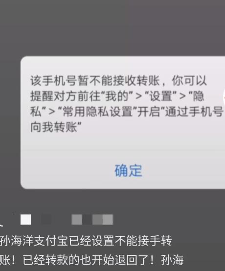 孙海洋家的包子网上有卖的吗,孙海洋的包子能不能在网上买