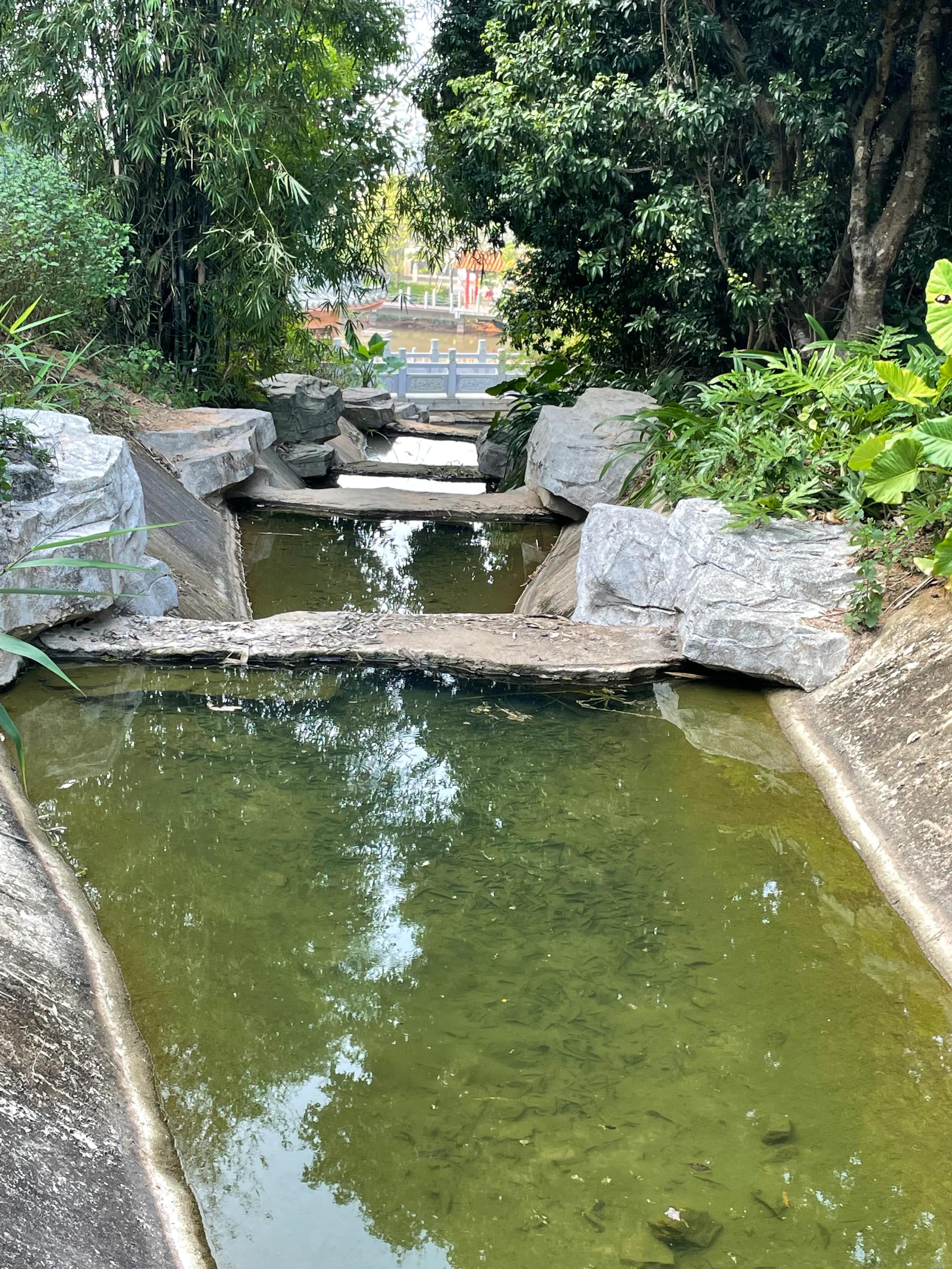 企龙山生态公园游玩攻略,龙山公园风景区