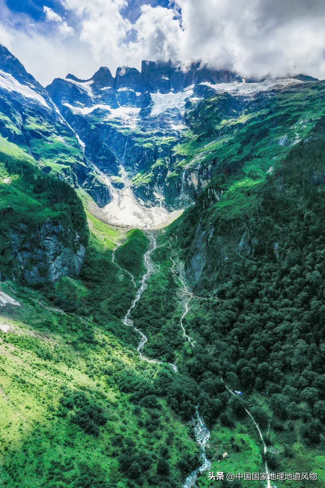 我国哪里盛产火龙果,全国最大的火龙果基地是哪里