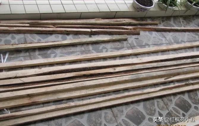 自制花架爬藤,自制花架的做法大全