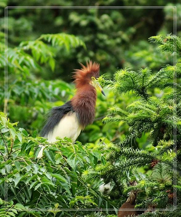 我的城市耒阳,耒阳我的故乡