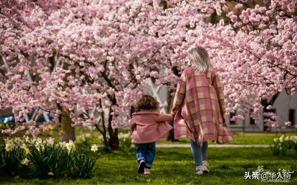 母亲节为什么是五月十四号,母亲节每年为什么不一样的日期