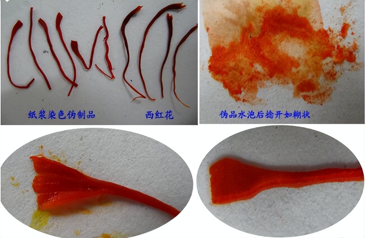 简单教你识别红花,番红花辨认