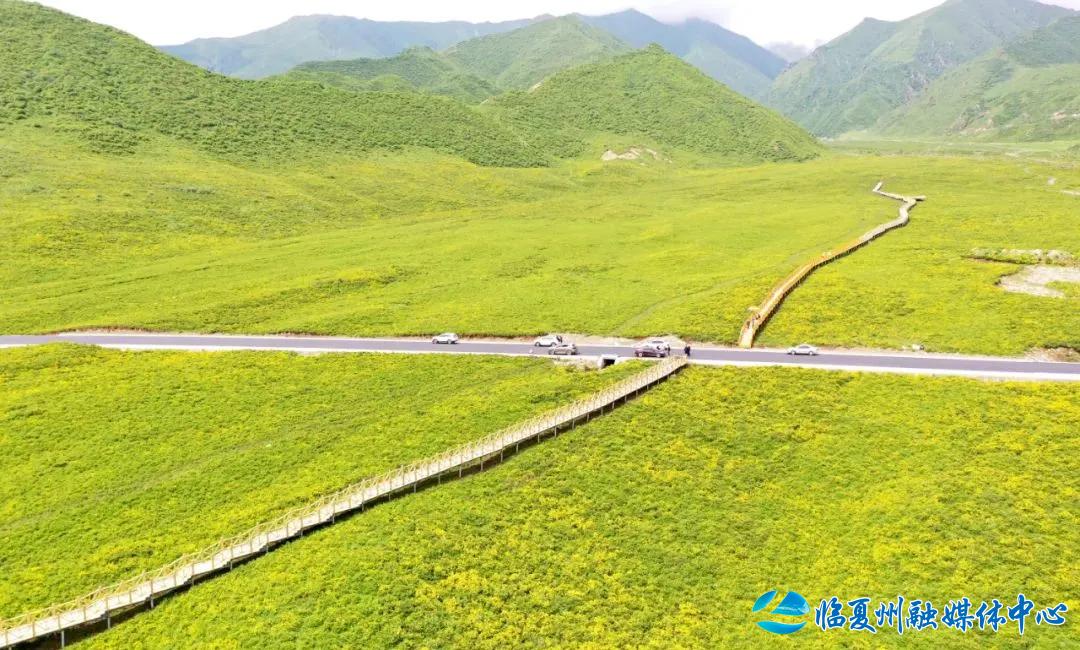 2024骞村宸磋兒閰嶈壊,缁胯壊鐨勫宸磋兒閰嶈壊