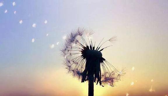 关于我你遗憾吗,关于你太多的遗憾