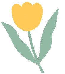 深圳市宝安自由行热门攻略,宝安旅游攻略自由行