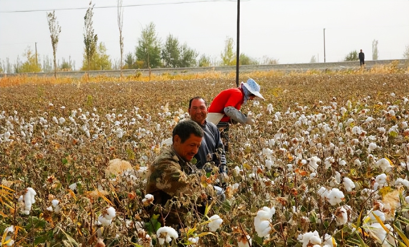 环游新疆15天,环游南疆8天攻略