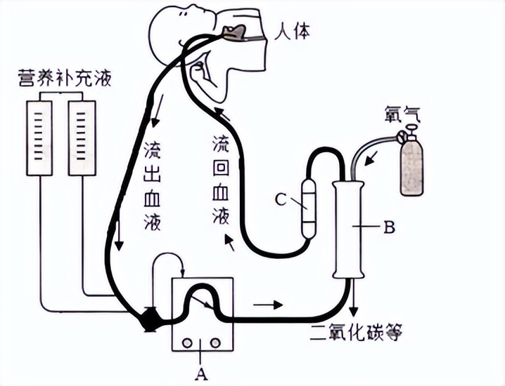 生物测试准确率,生物模拟试卷2