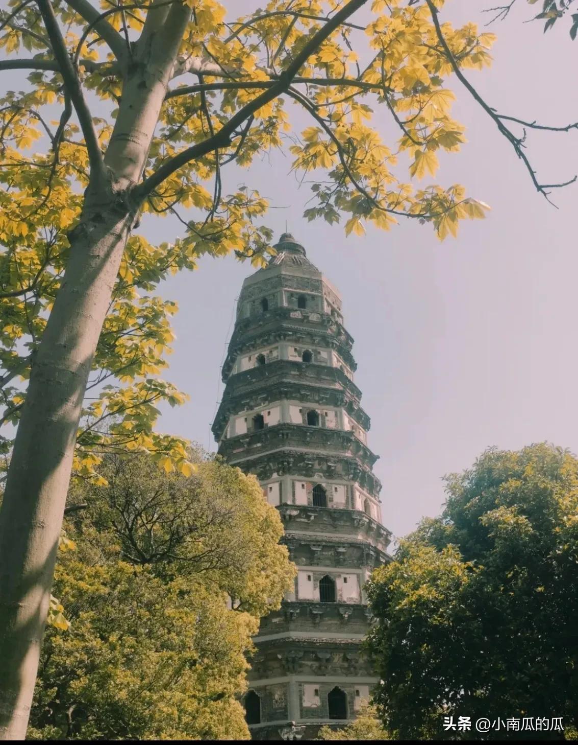 享乐旅游,享乐游旅游